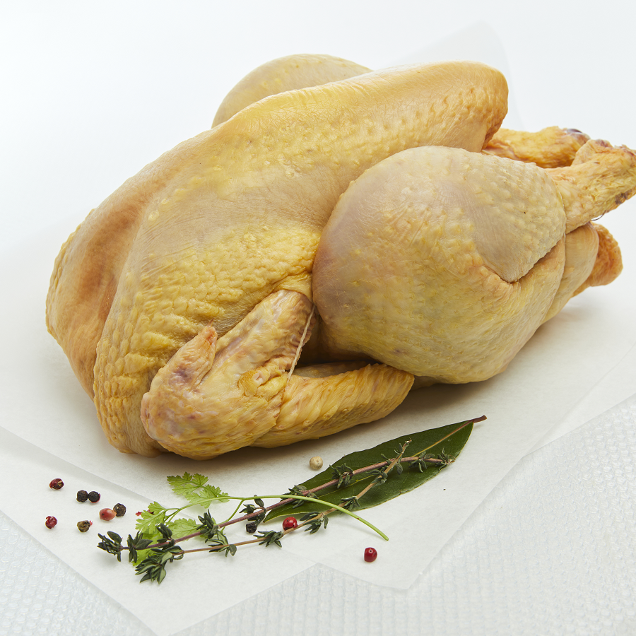 Coq entier PAC