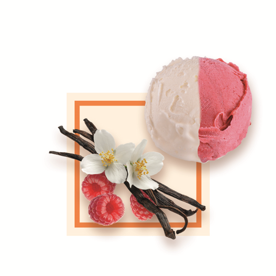 Glace vacherin artisanale spécial glacier