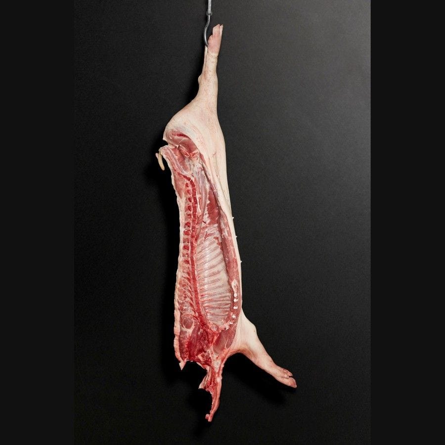 Demi porc