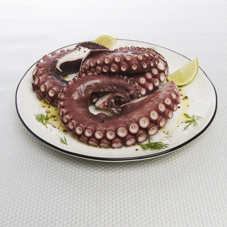 Tentacule d'encornet géant