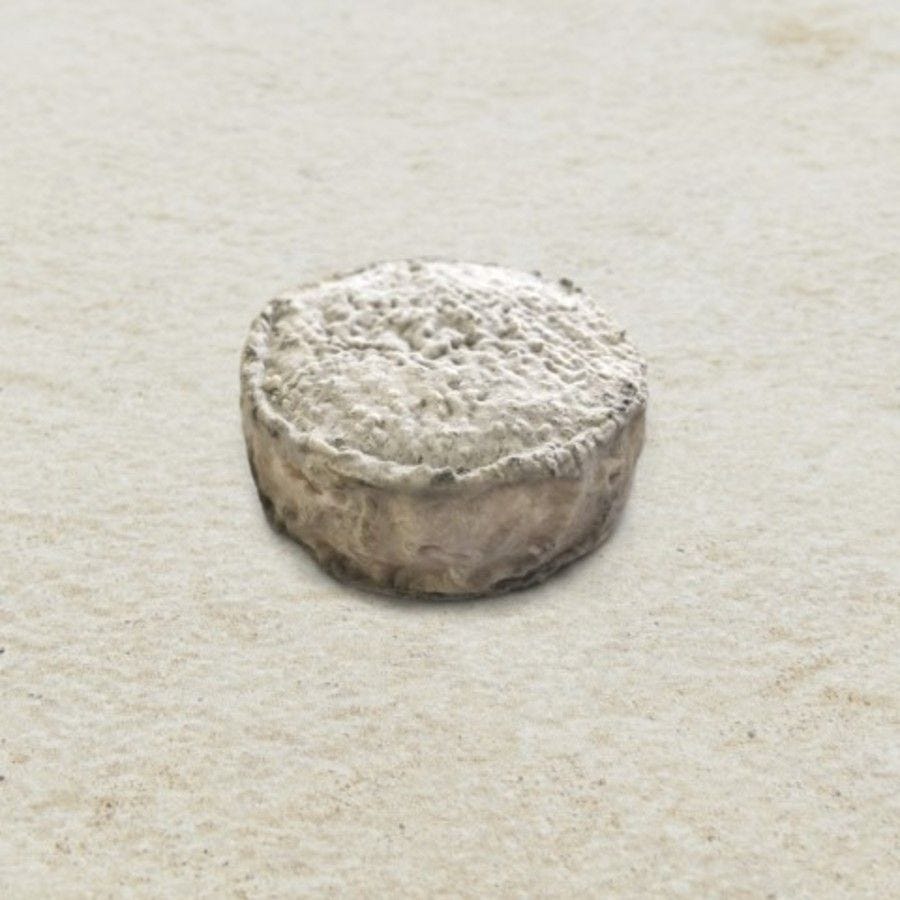 Le cendré fromage de chèvre