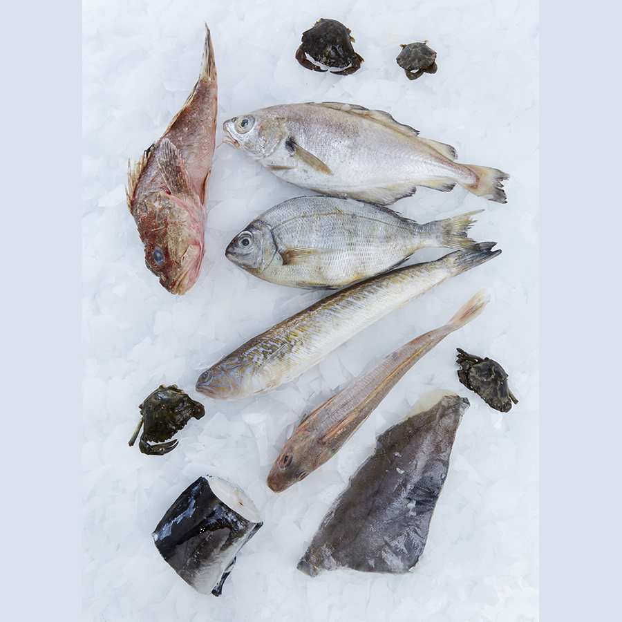 Assortiment de poissons pour bouillabaisse