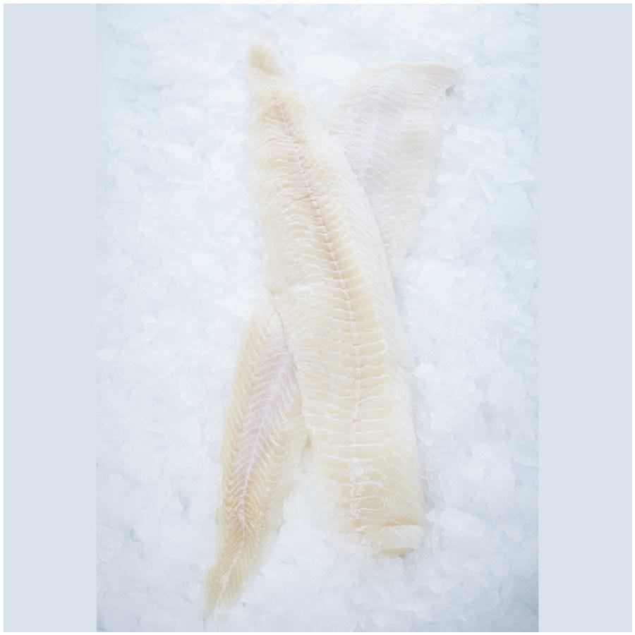 Filet de loup de mer sans peau