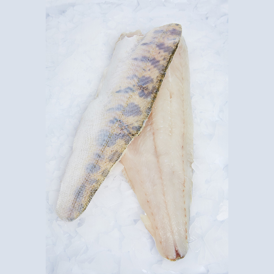 Filet de sandre avec peau IQF