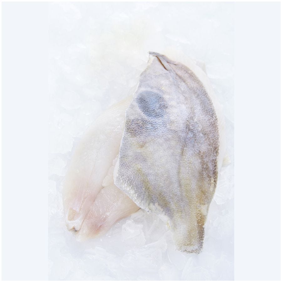 Filet de Saint-Pierre avec peau IQF