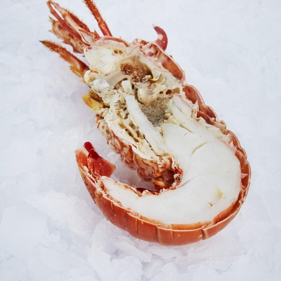 Demi langouste blanche cuite IQF