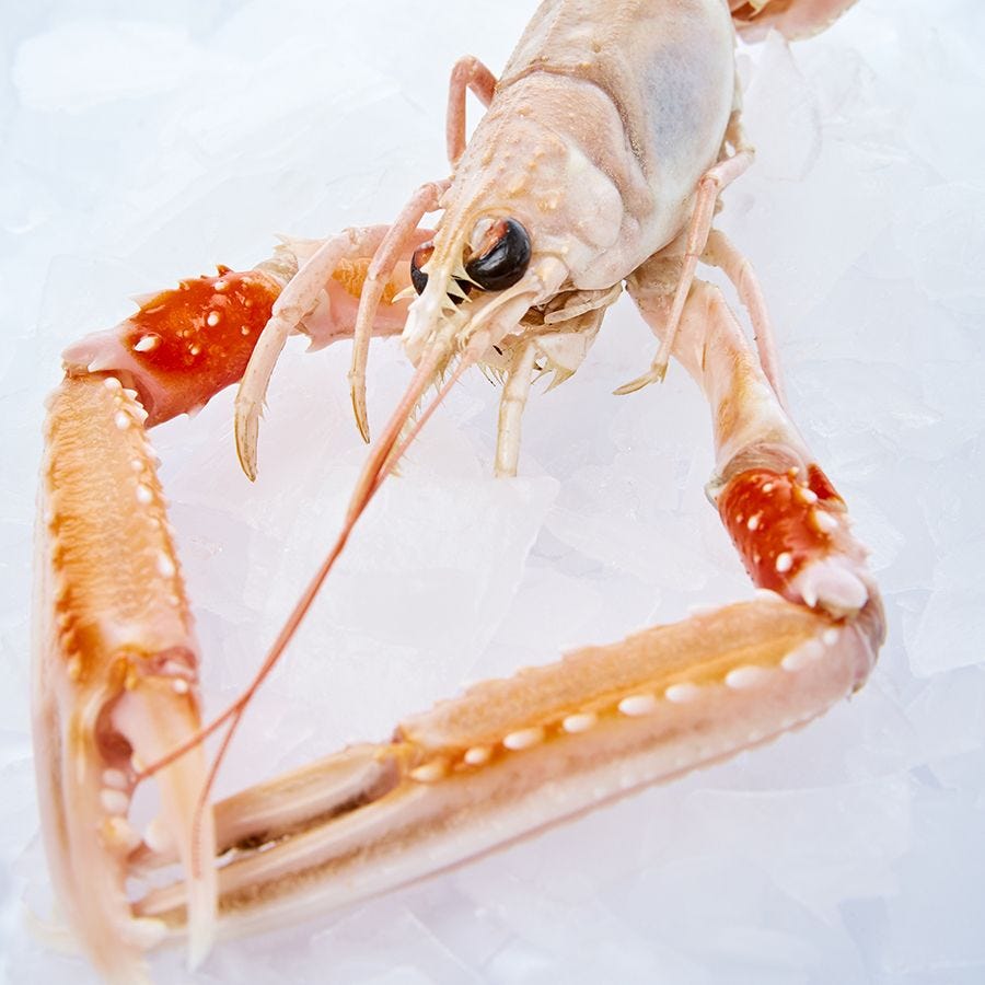 Têtes et pattes de langoustine IQF