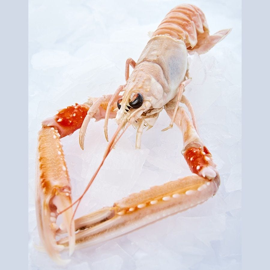 Langoustine entière arrimée IQF