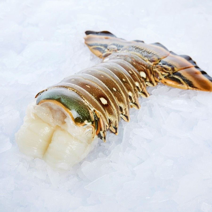 Queue de langouste blanche avec carapace IQF