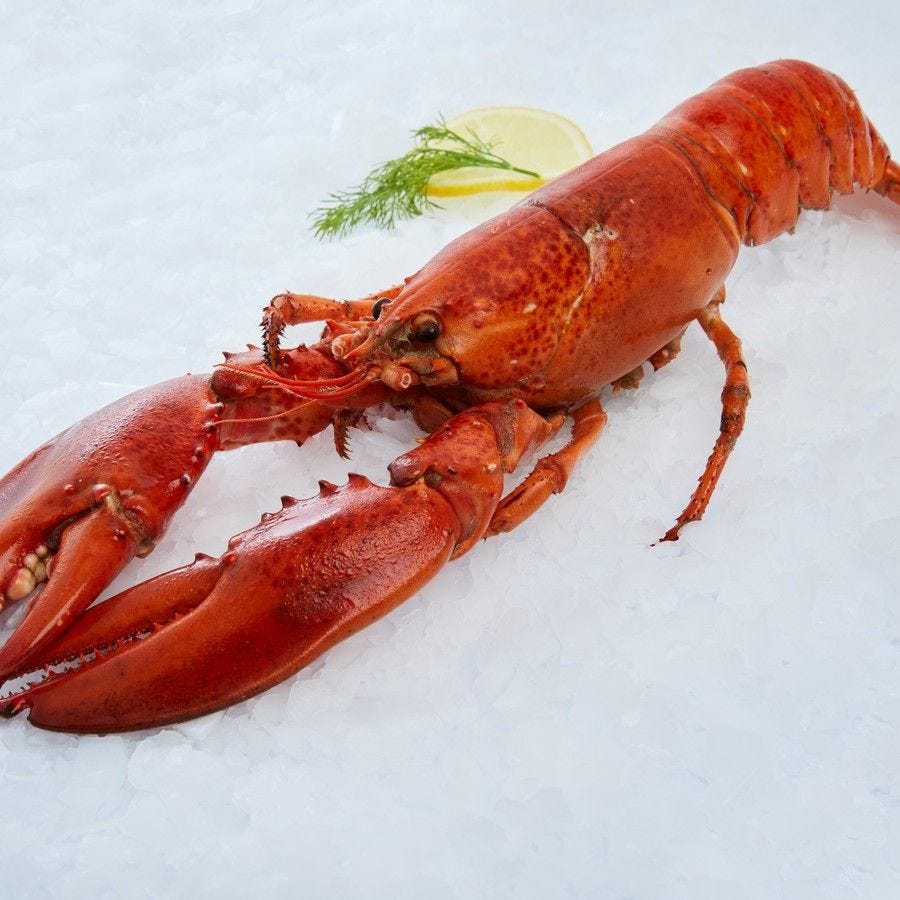 Homard entier cuit sous glace IQF MSC