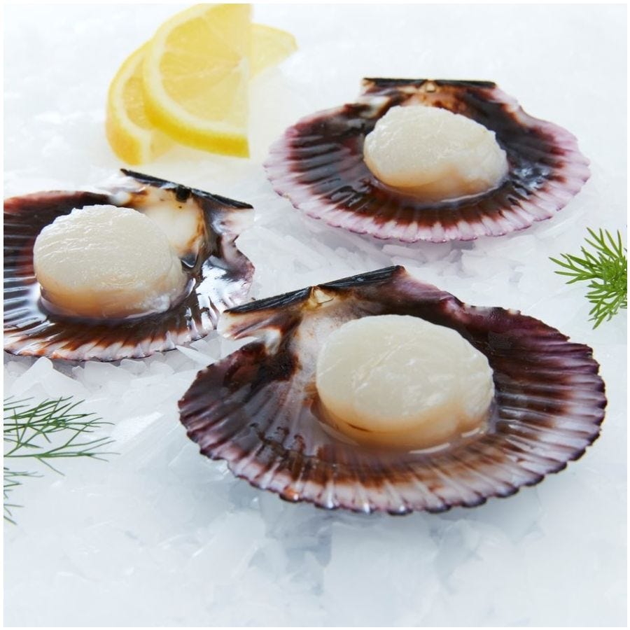 Noix de Saint-Jacques avec corail demi-coquille IQF