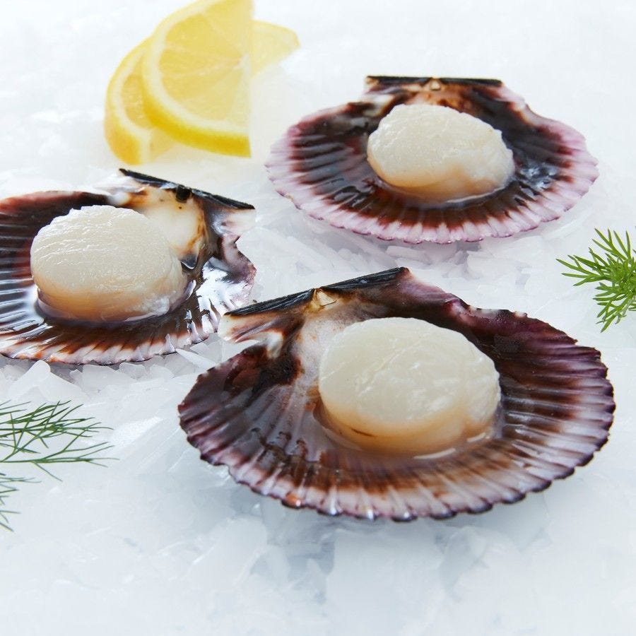 Noix St-Jacques avec corail 1/2 coquille IQF Chil Pér