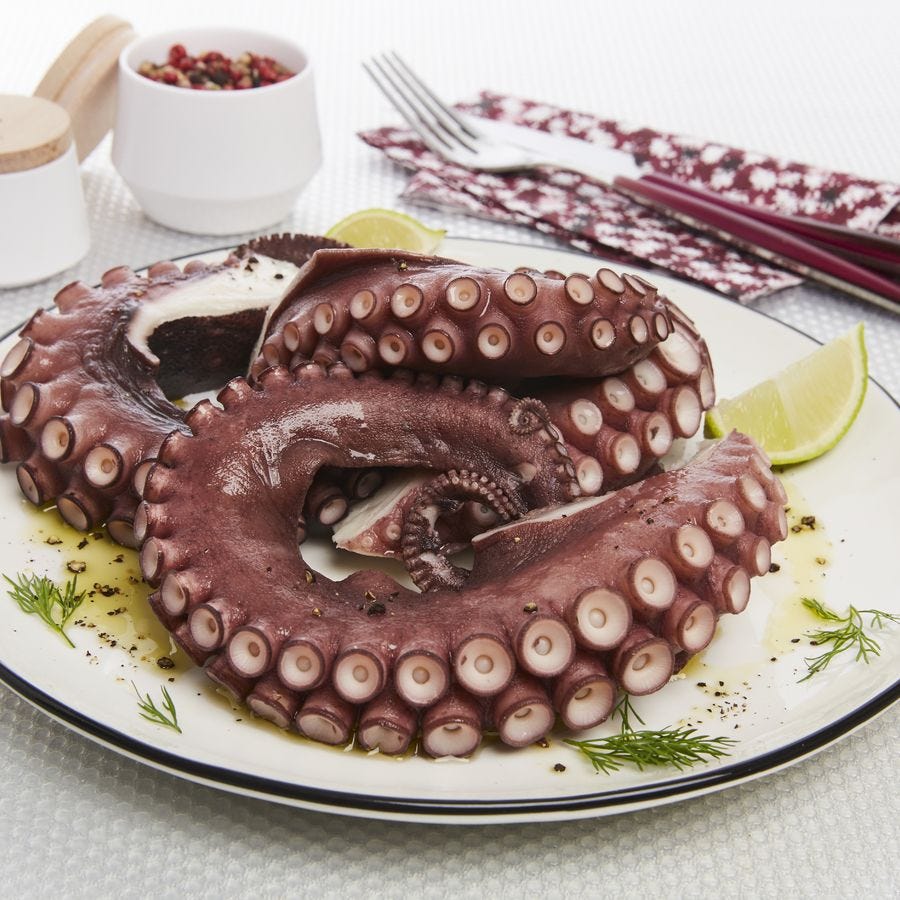 Tentacule de poulpe 80/120