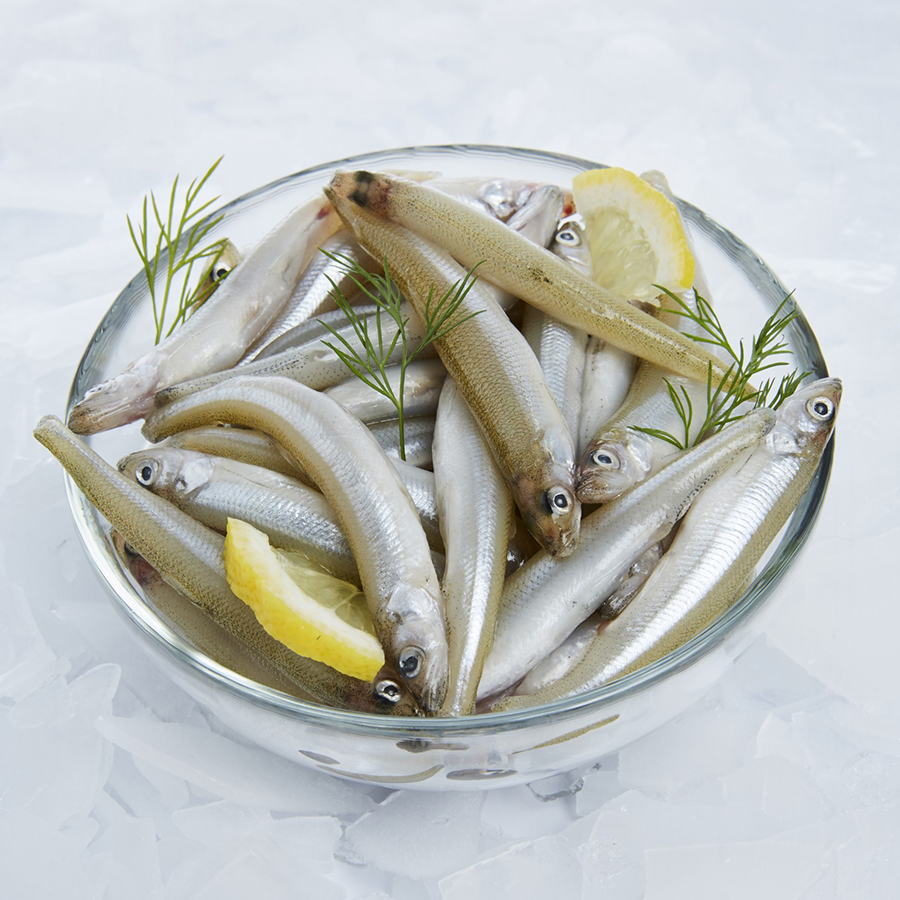 Friture éperlan d'Amérique 5/9 cm IQF
