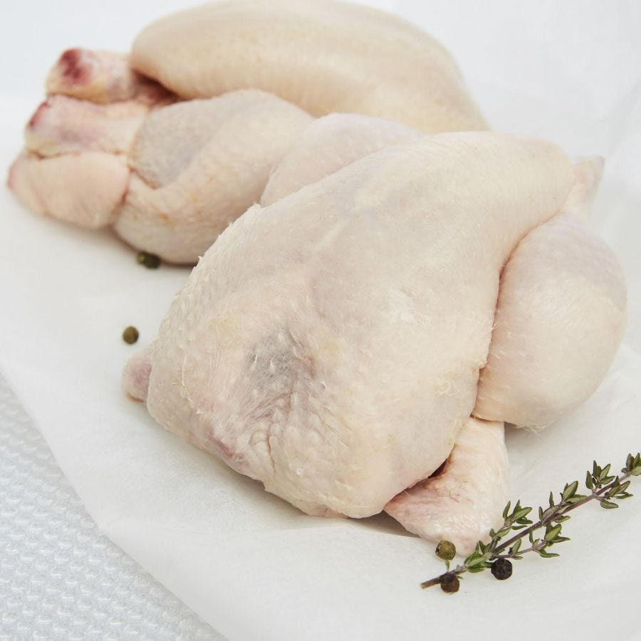 Poussin blanc PAC