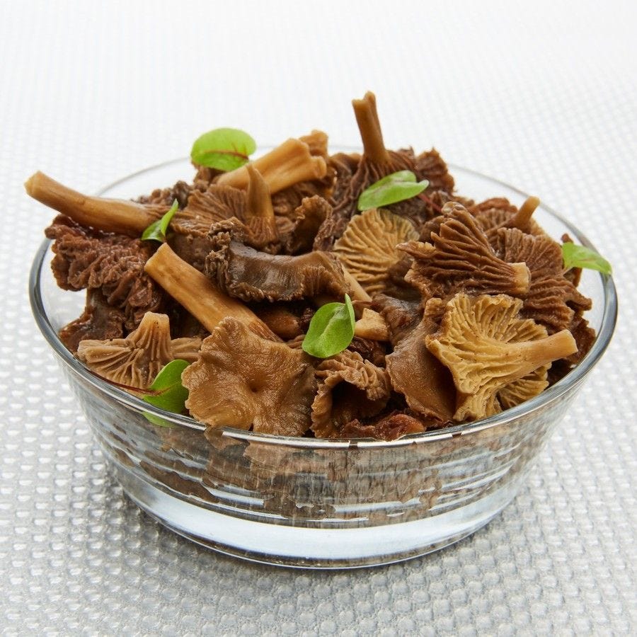 Chanterelle