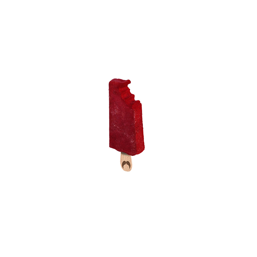 Paleta sorbet plein fruit fraise Bio