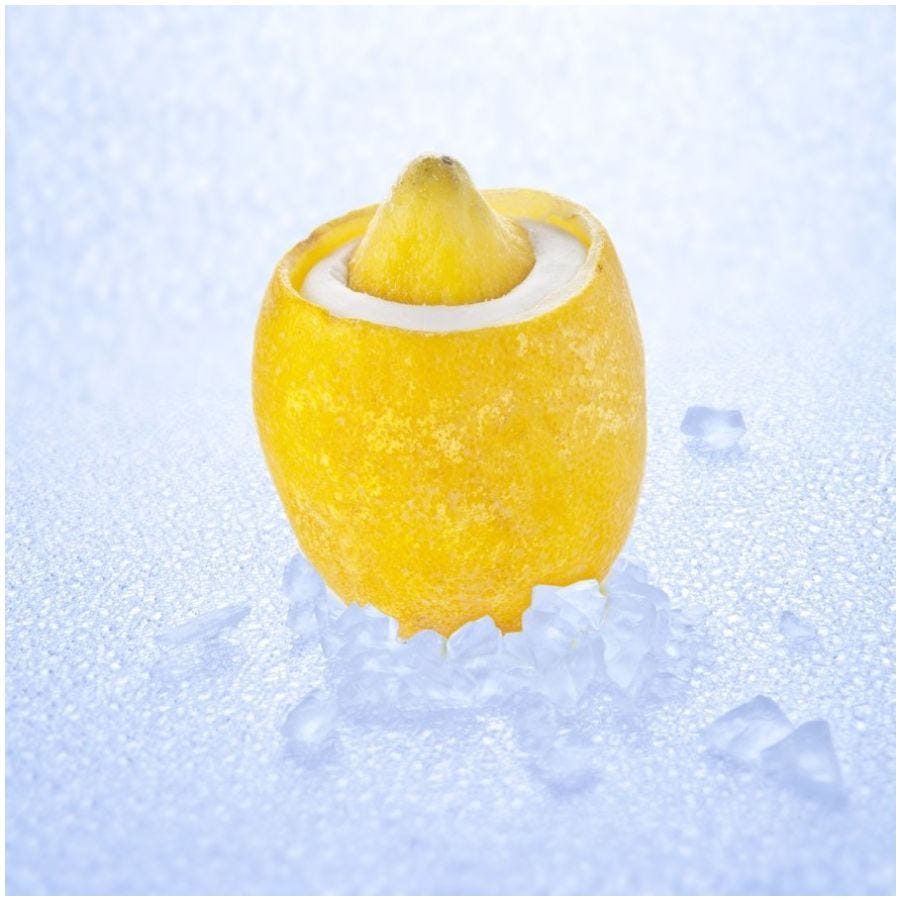 Citron givré artisanal