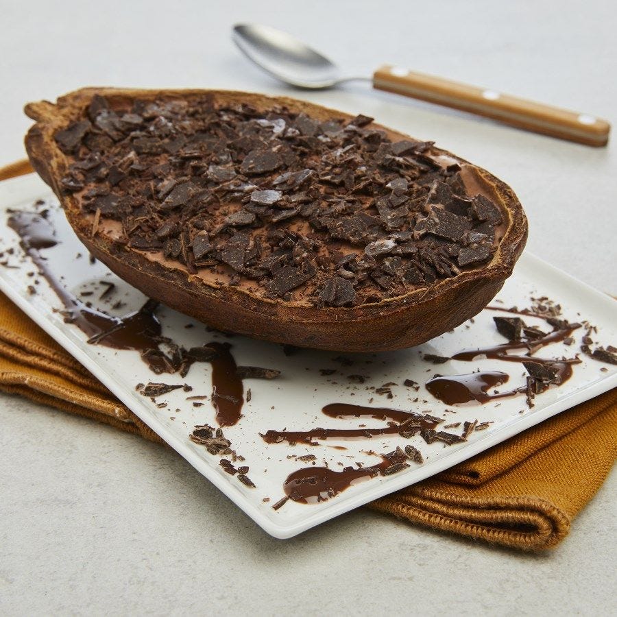 Cabosse cacao givrée artisanale