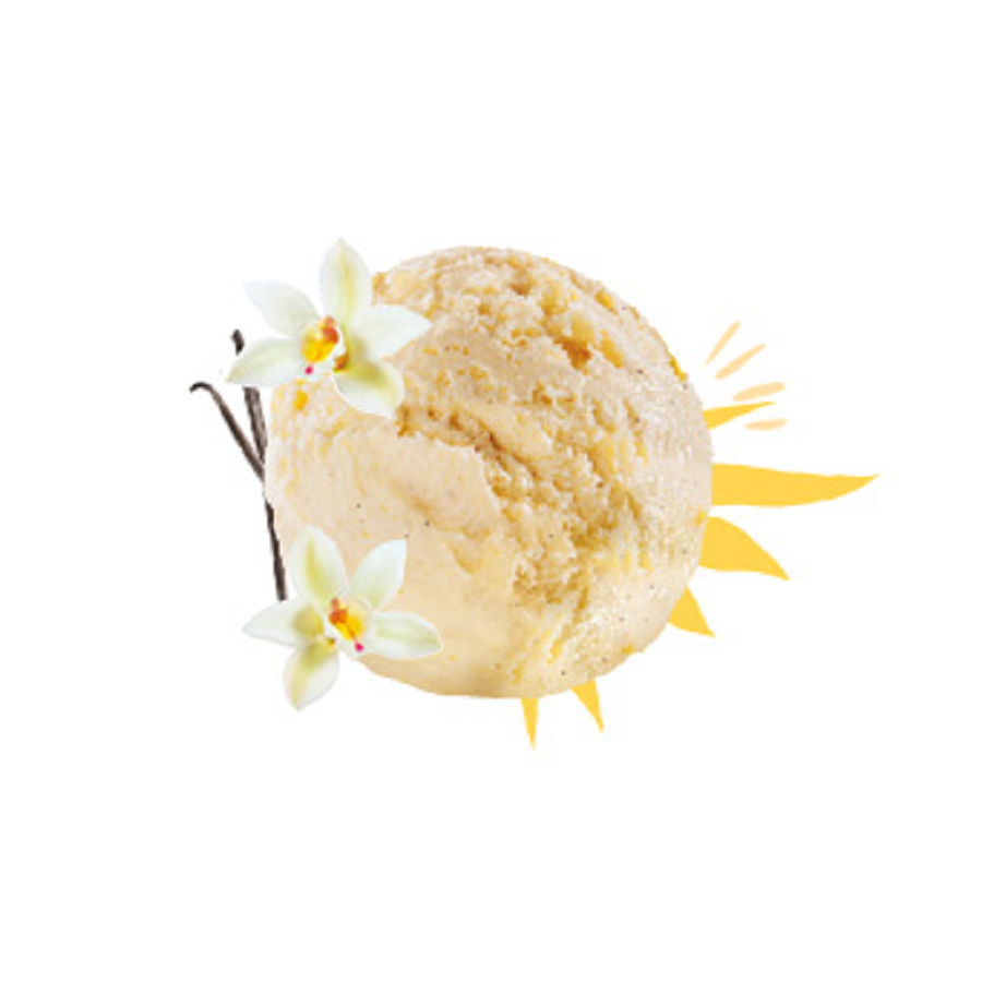 Crème glacée vanille bio