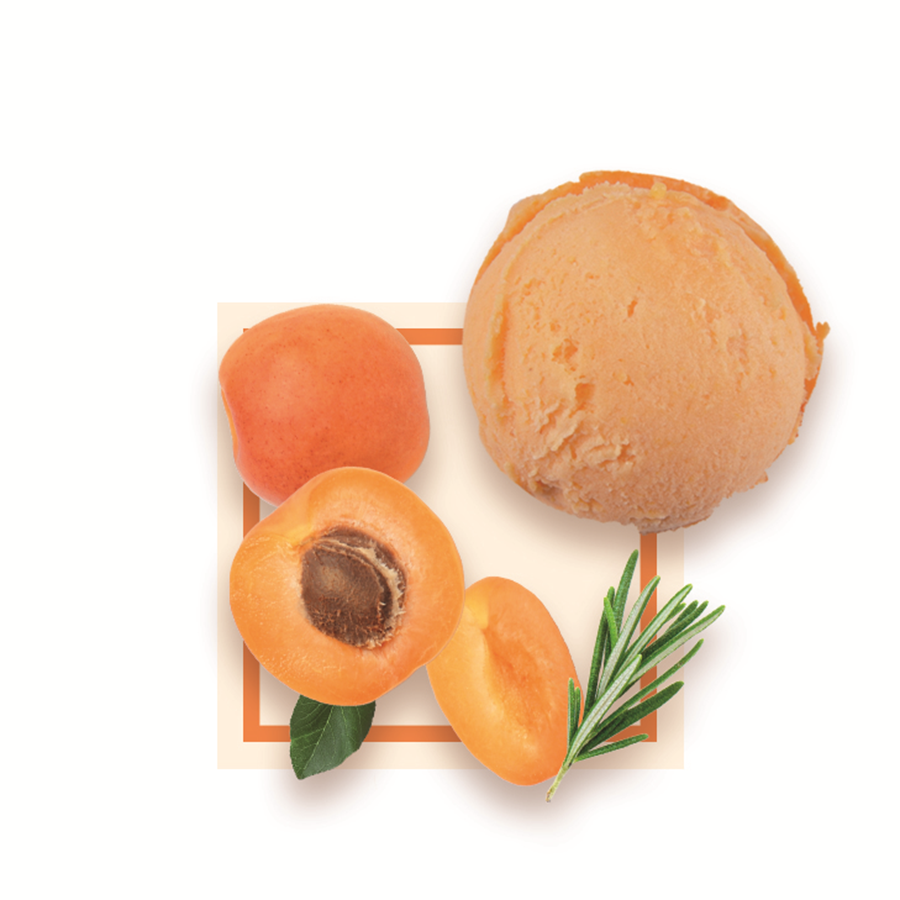 Sorbet plein fruit abricot romarin artisanal