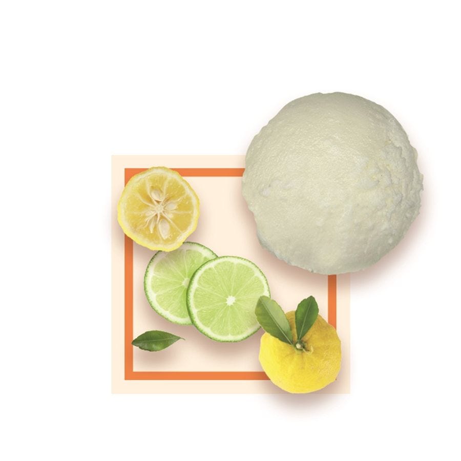 Sorbet yuzu citron vert artisanal 2,5 L