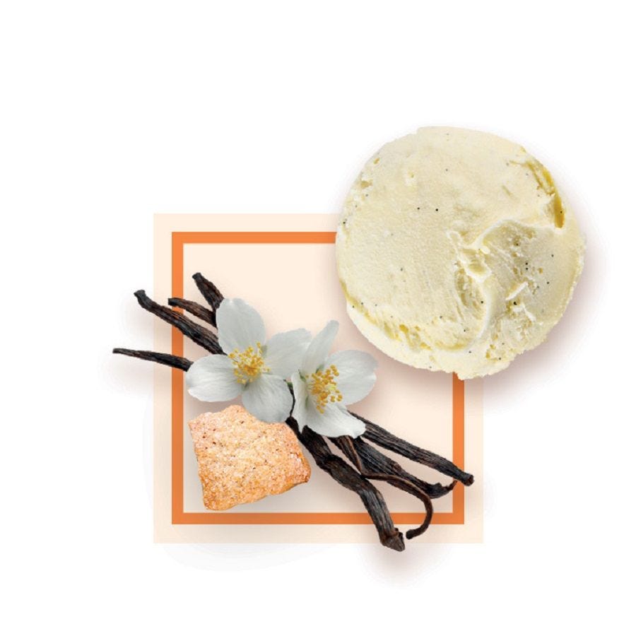 Glace vanille canistrelli artisanale