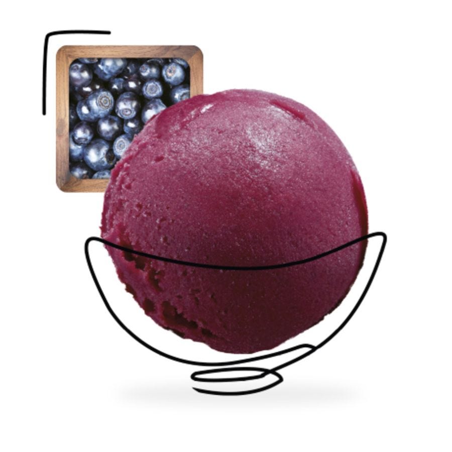 Sorbet plein fruit myrtille artisanal