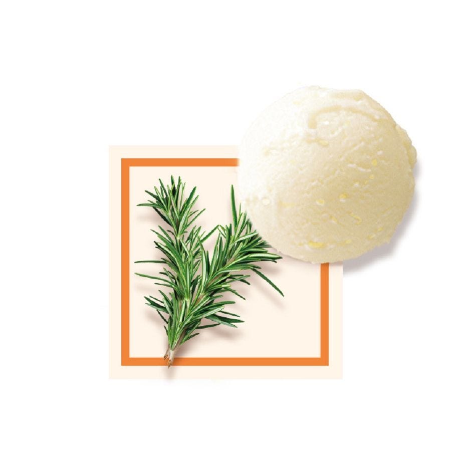Glace bourgeons de sapins artisanale