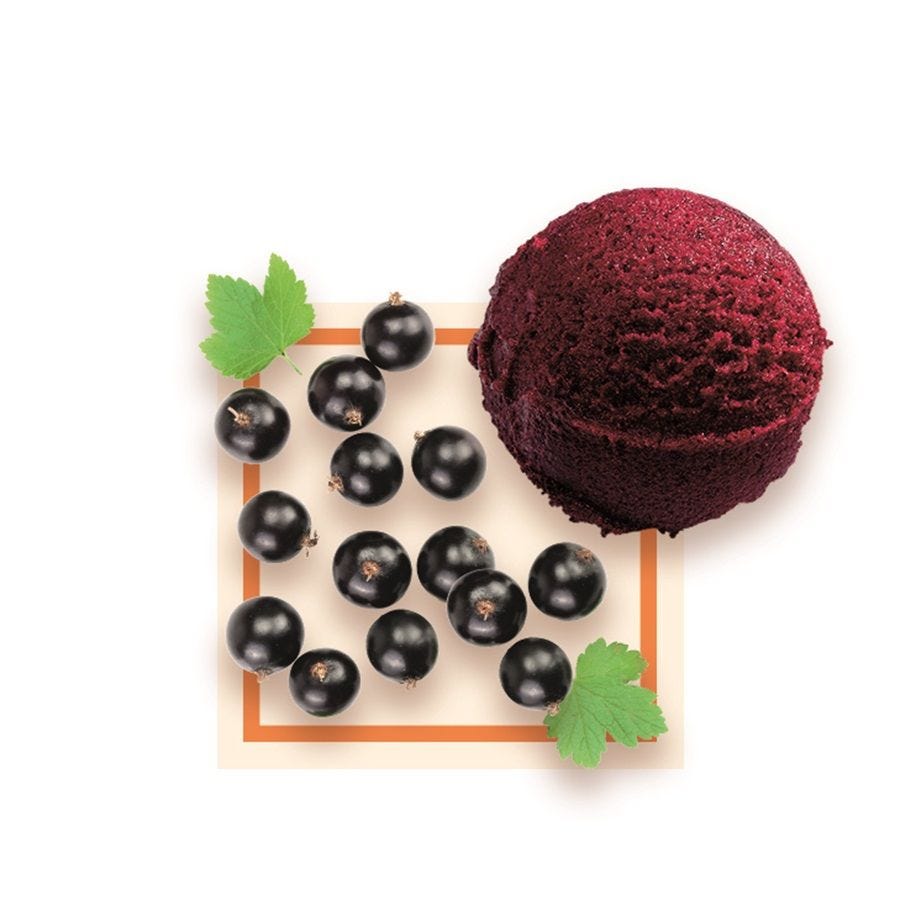 Sorbet plein fruit cassis artisanal