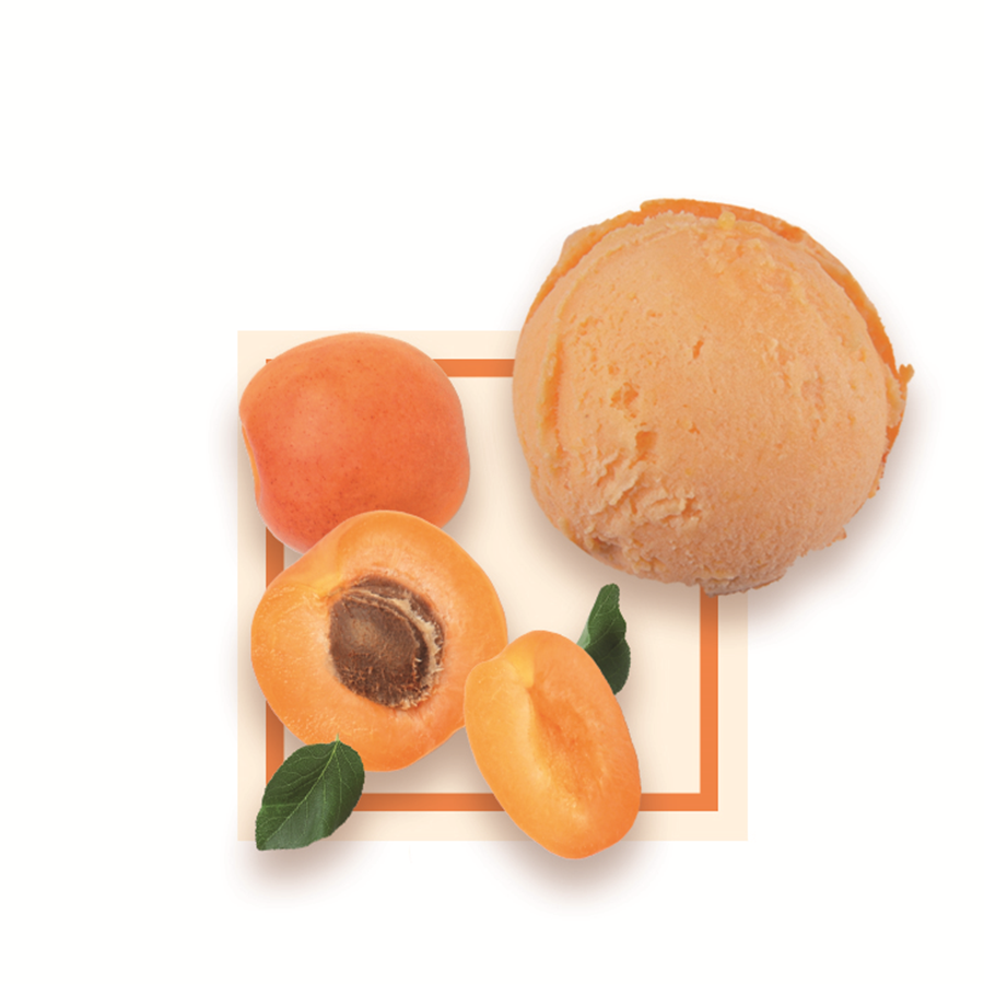 Sorbet plein fruit abricot artisanal spécial glacier