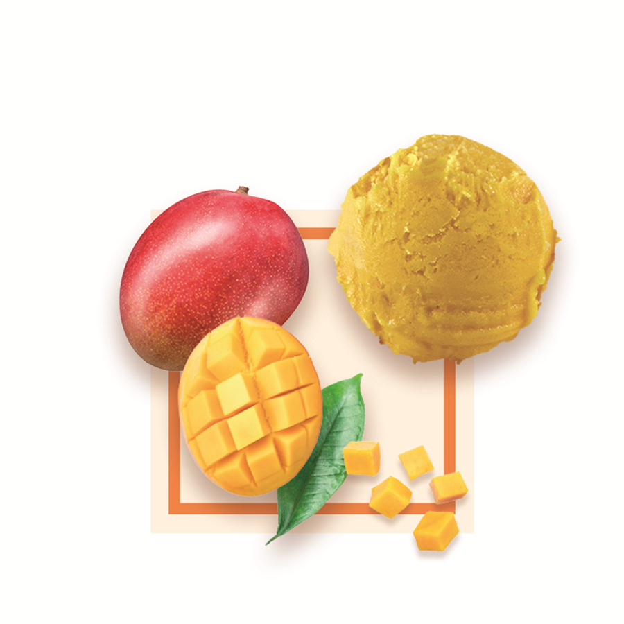 Sorbet plein fruit mangue artisanal spécial glacier