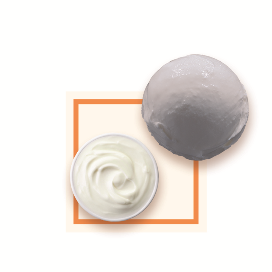 Glace yaourt artisanale spécial glacier