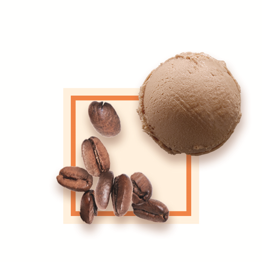 Glace café artisanale 8 l