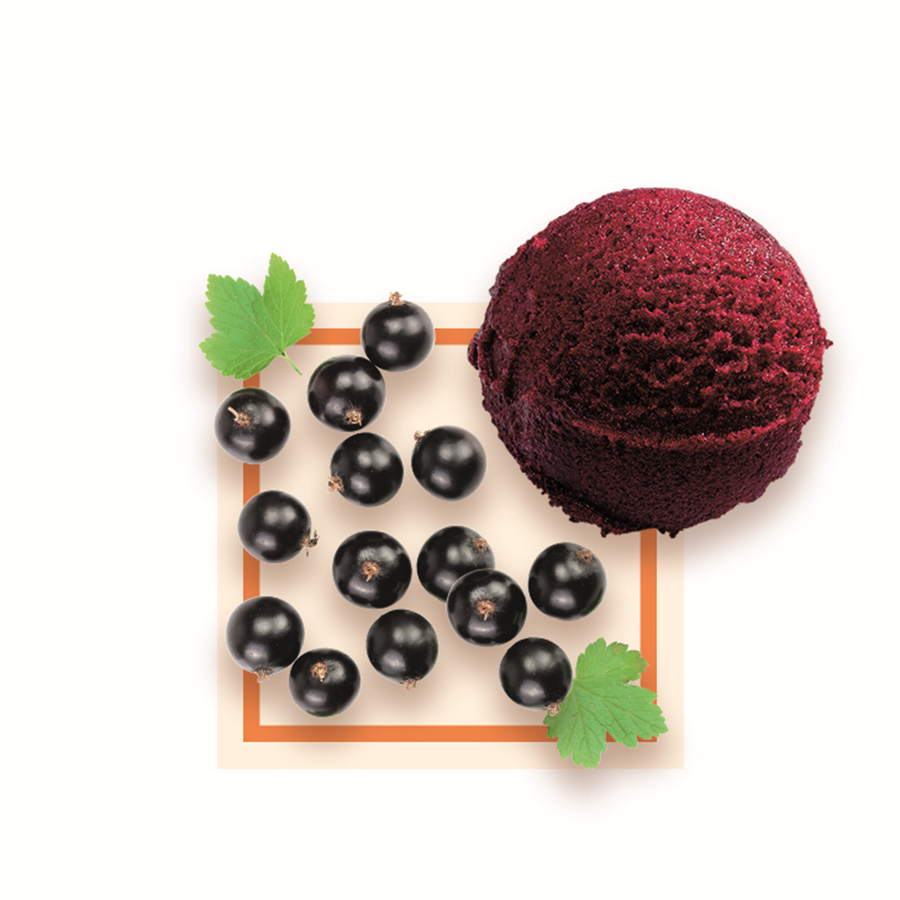 Sorbet plein fruit cassis noir artisanal