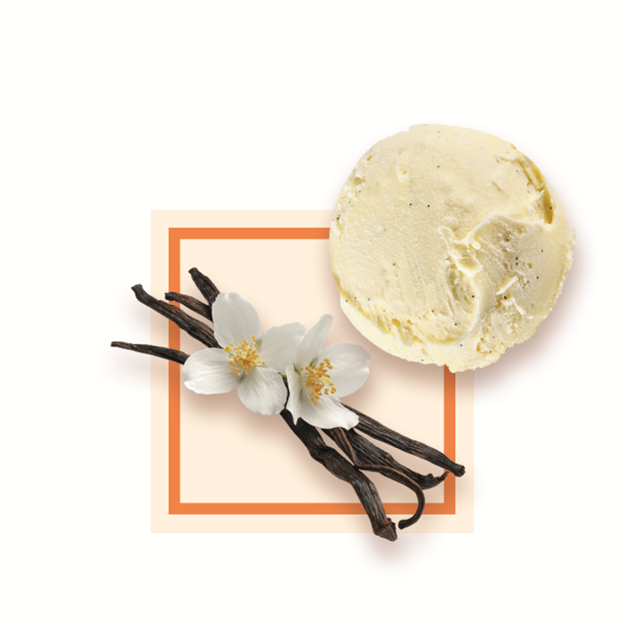 Glace vanille spécial restauration artisanale