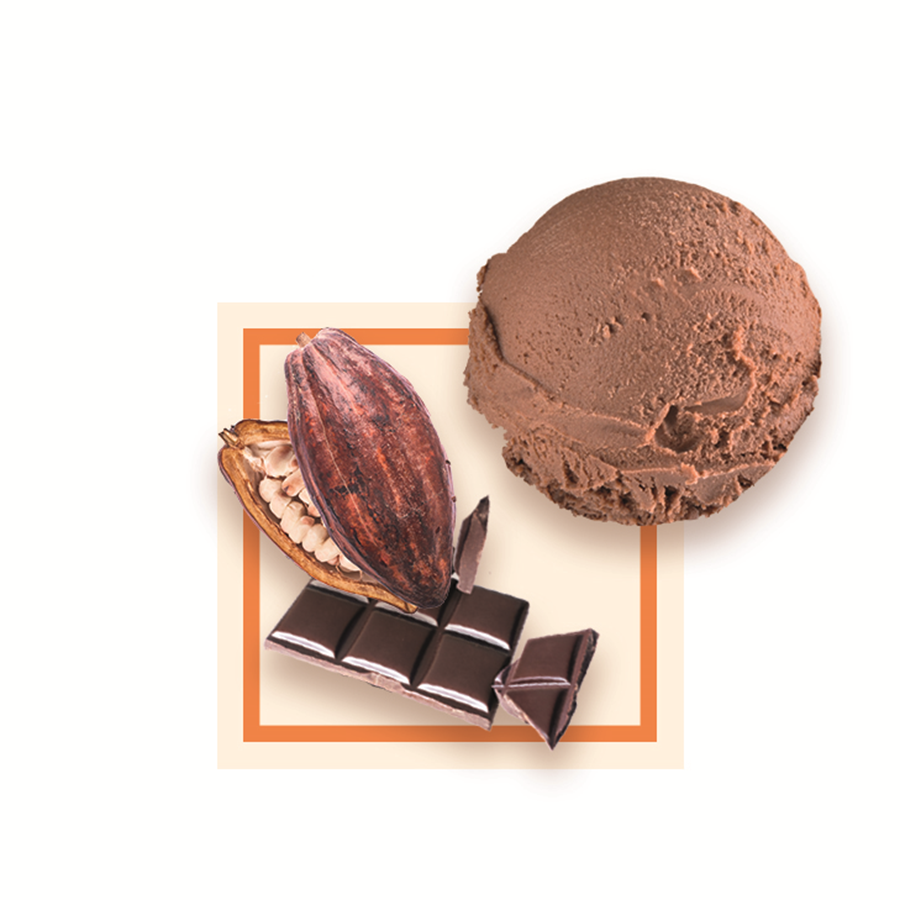 Glace chocolat du Pérou artisanale