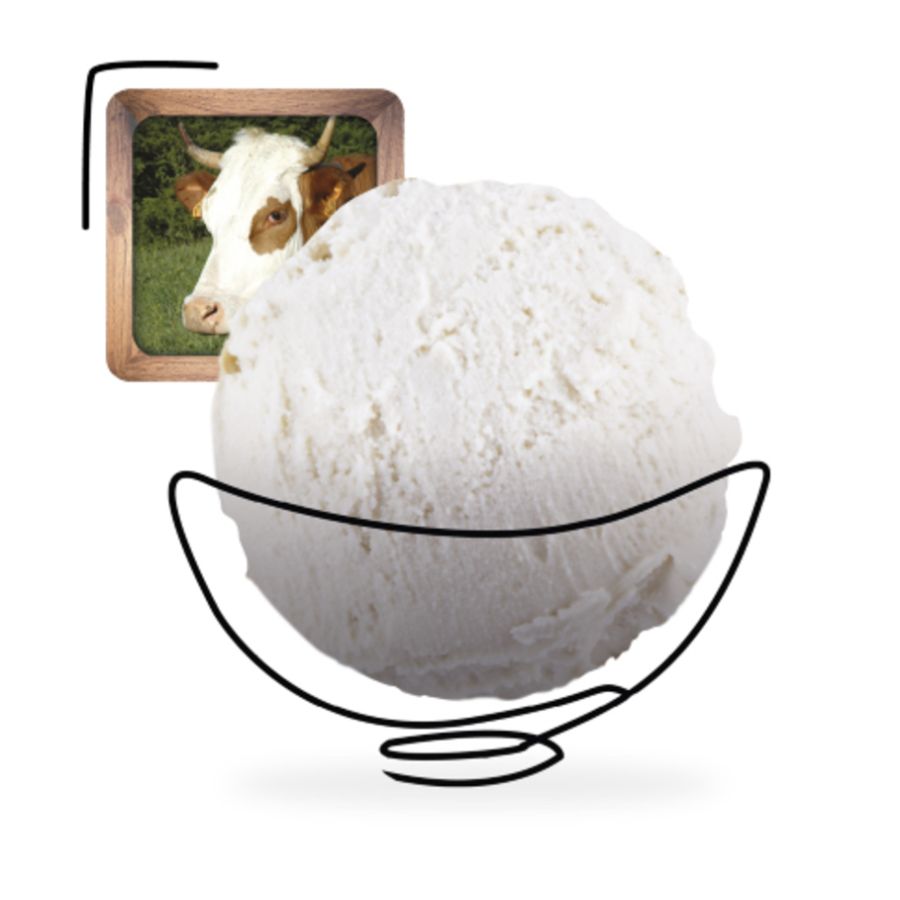 Glace yaourt artisanale