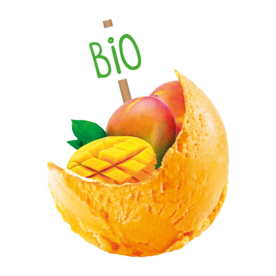 Sorbet plein fruit mangue bio