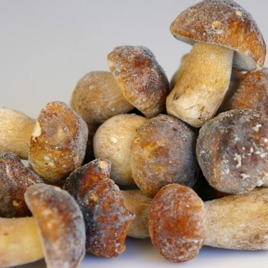 Cèpe extra