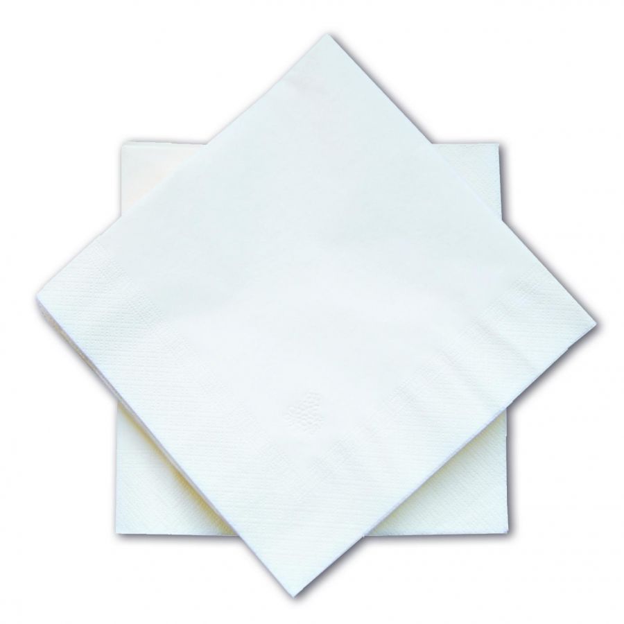 Serviette 2 plis blanche 40 x 40 cm